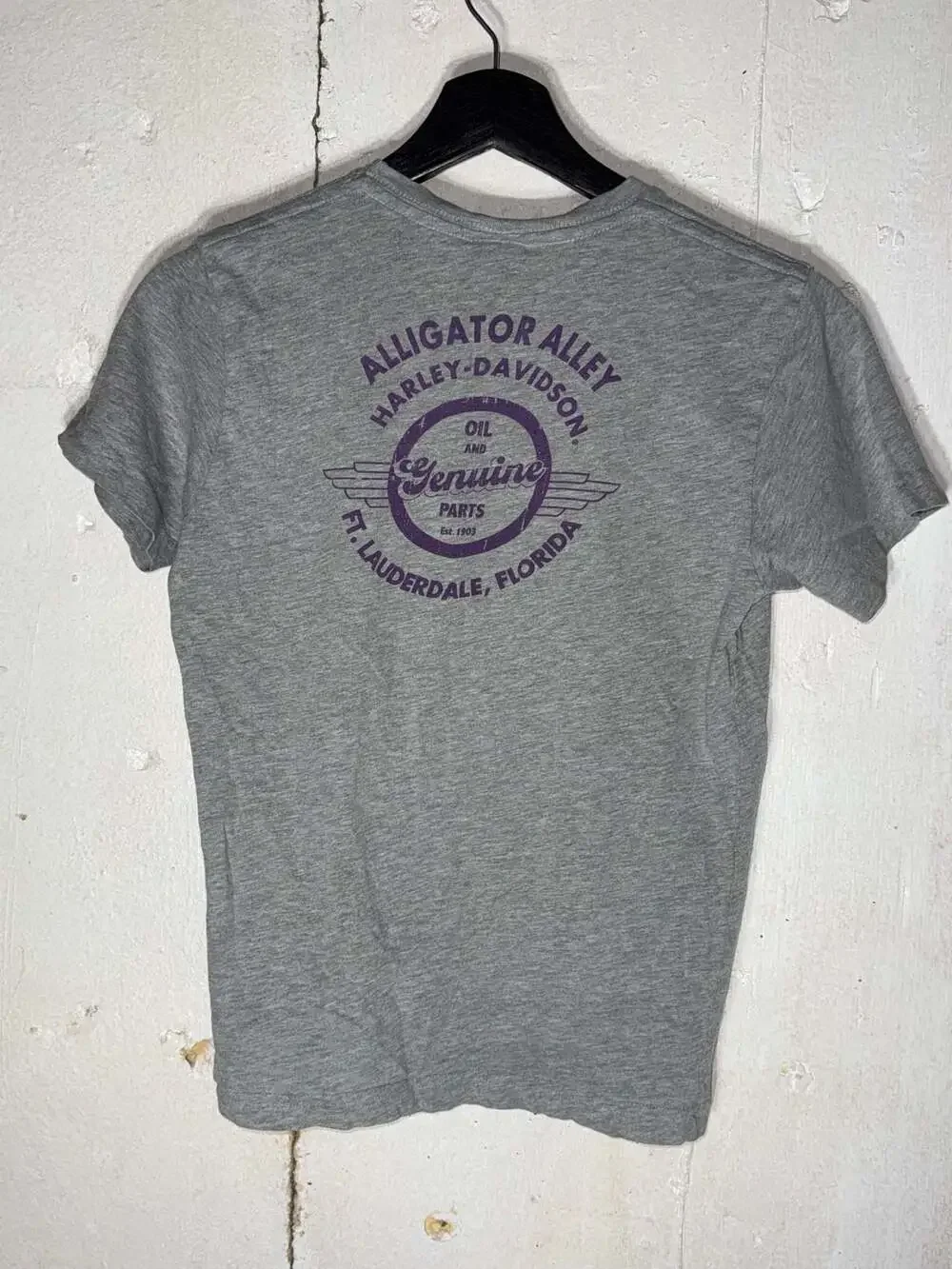 Harley-Davidson Youth Gray Graphic T-Shirt Alligator Alley Ft. Lauderdale Florid